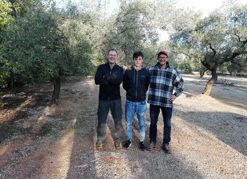 Tres hombres en un camino entre olivos centenarios